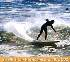 surfing in newport