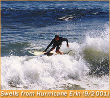 surfing in Newport