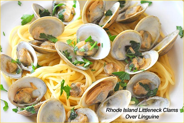 rhode island littlenecks over linguine